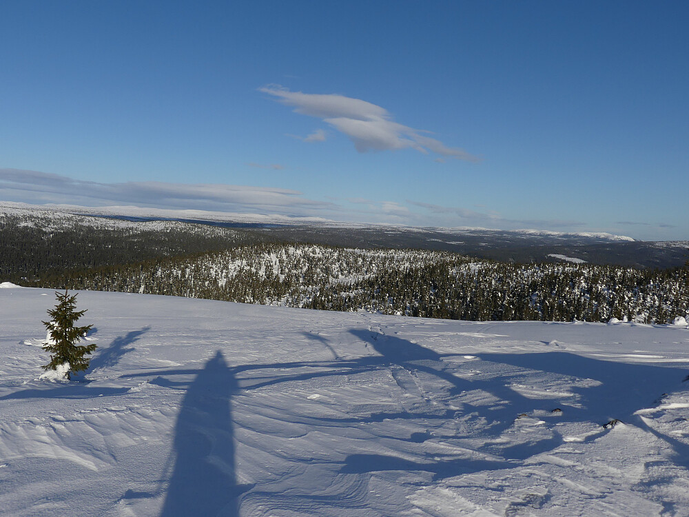 Fra toppen av Engulvsfjellet ser jeg ned på de to skogskledde åsene Granfjellet (til venstre) og Nordre Engulvsfjellet.