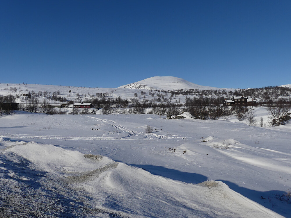 Kolla er dagens turmål!