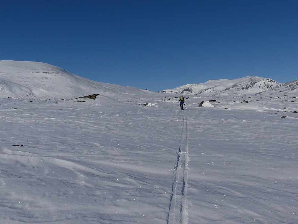 Innover Stroplsjødalen med Kolla til venstre og Storkinn midt imot.