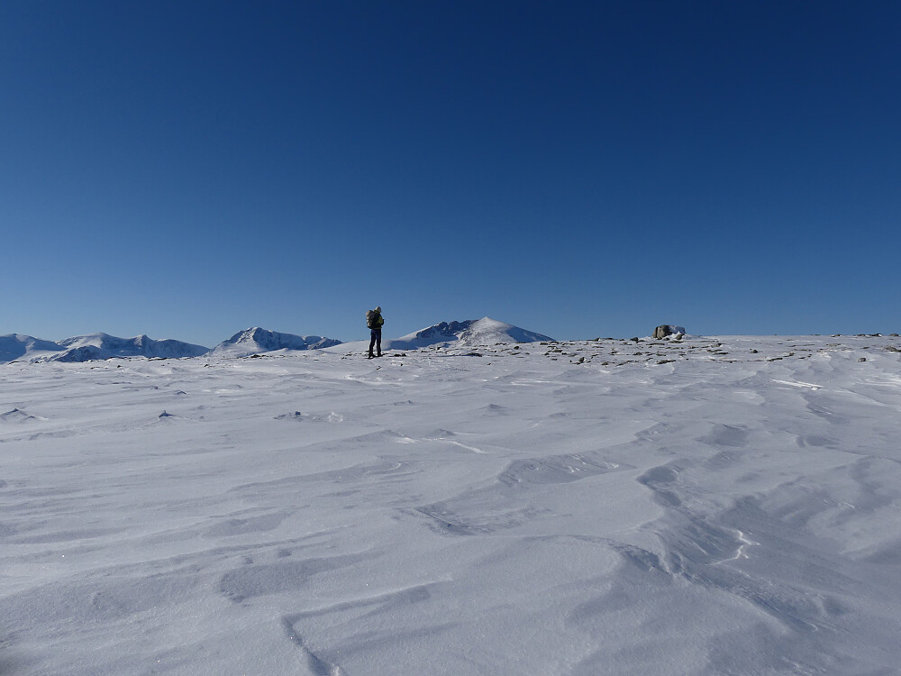 Med utsikt til Skredahøer, Svånåtinder og Snøhetta.