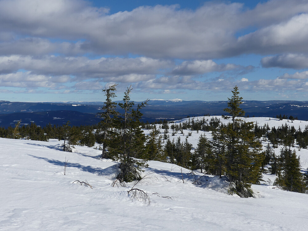 Trysilfjellet langt der bak.