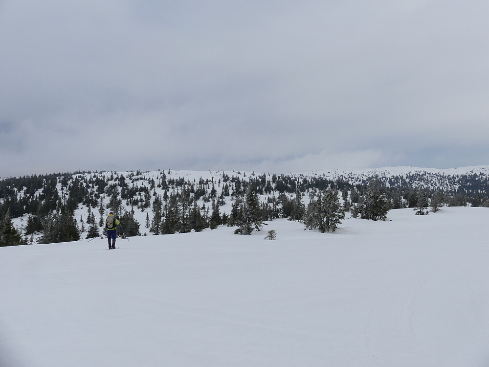 Det går unna på godt skiføre og med vinden i ryggen på vei mot Vardhøgdene.