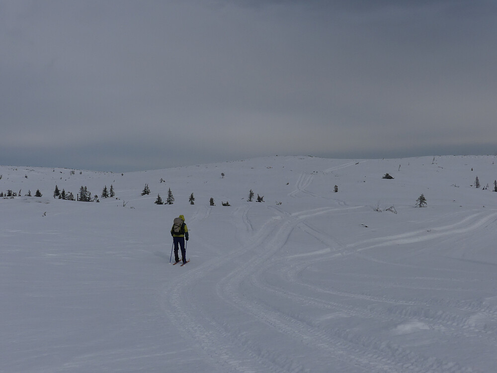 I retning Vardhøgda. Det er tydelige spor etter stor militær aktivitet her de siste dagene. 