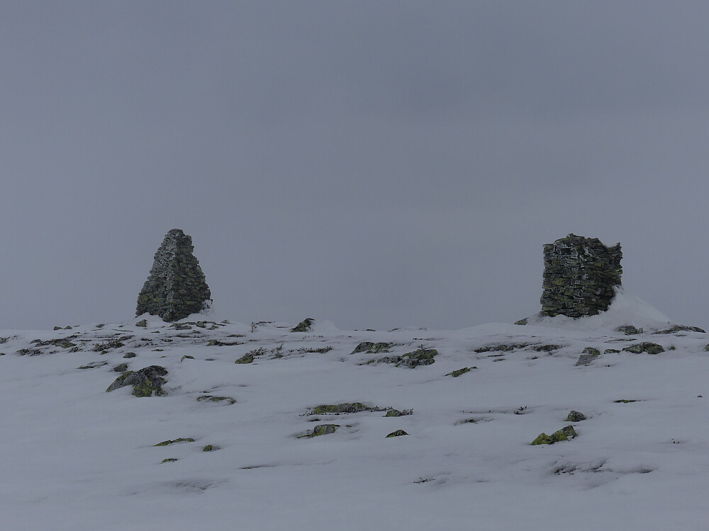 De to flotte gråfjellvardene.