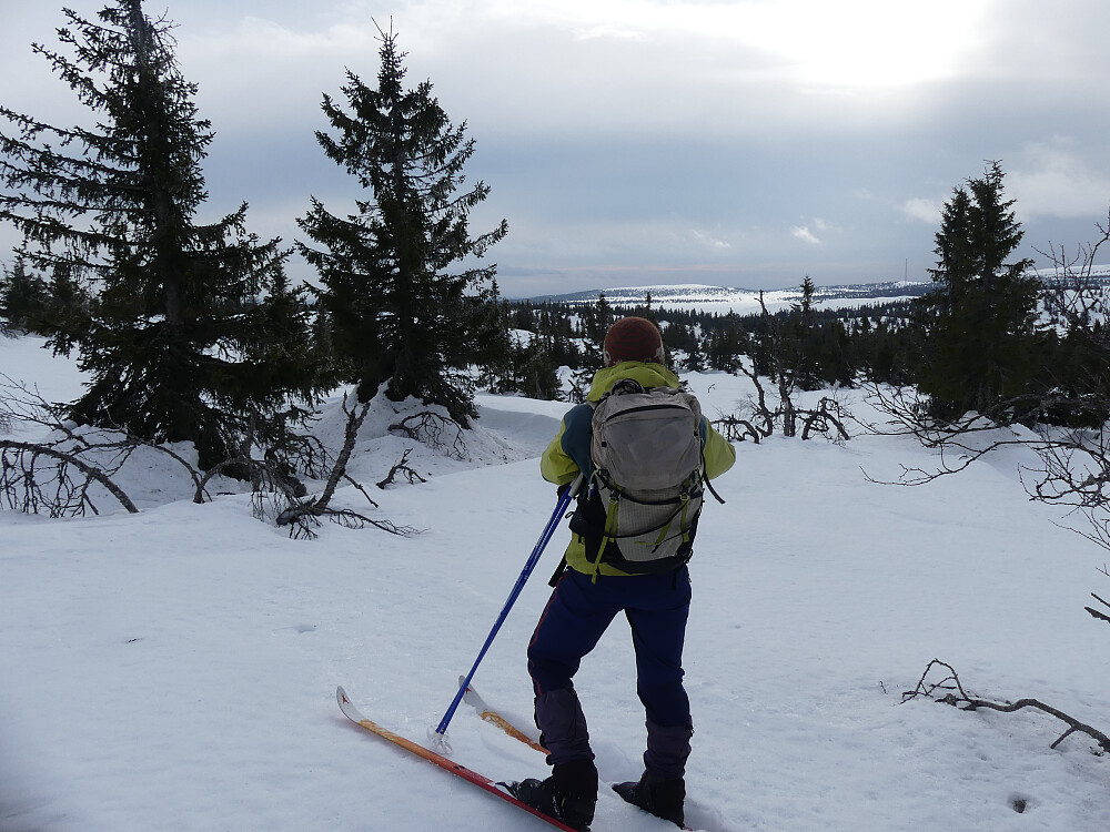Med utsikt over Fløttjennkjølen og til Store Haraåsen.
