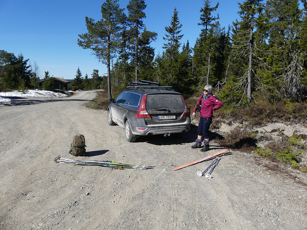 Mye sommer og litt vinter ved Digeråsen hyttefelt, men..