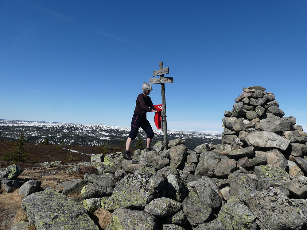 På Engulvsfjellet.
