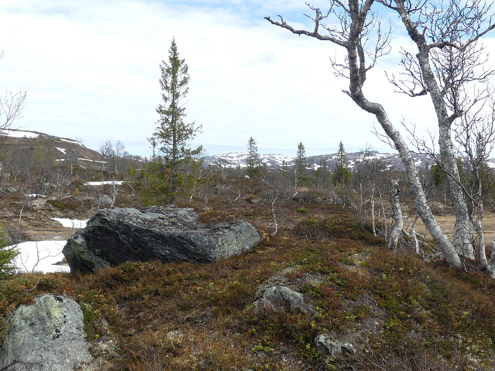 Litt av Ilfjellet skimtes langt der bak.
