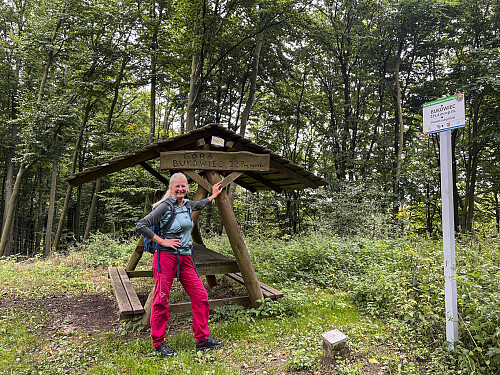 En sivilisert topp, langt ute i skogen