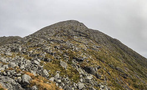 "Fast lane" til Haddalshornet