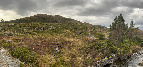 På vei til Rjåhornet