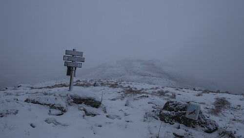 Surt på Sandvikhornet