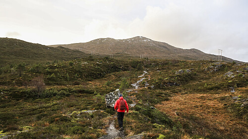 På vei mot Rjåhornet