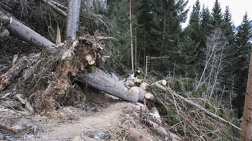 Hovedtraseen delvis gjenåpnet