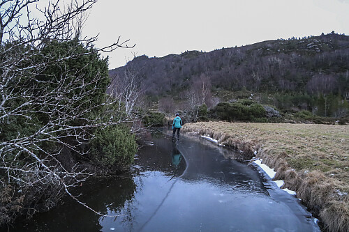 Utforsking av Høgsetelva
