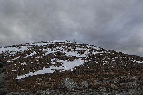 På vei opp fra nord, for å unngå den sterke vinden fra syd. 