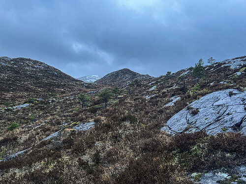 Måtte gå i denne lille dalen, pga vinden fra vest
