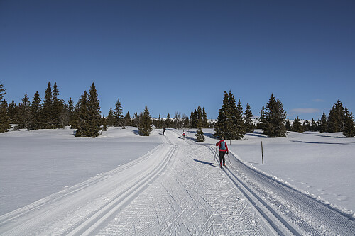 Herlige dager på Hafjell!