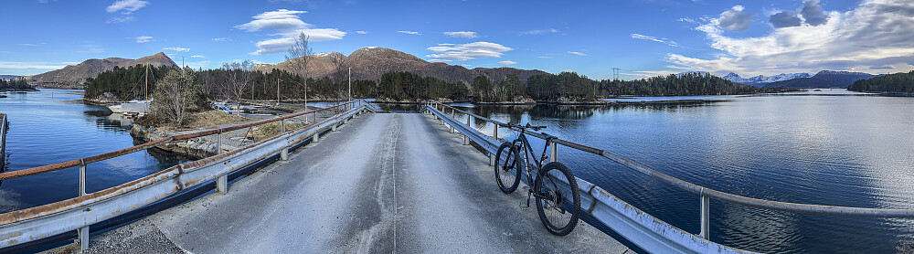 Testing av hamstringen