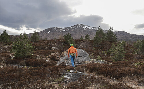 Til fjells med hamstring-skade