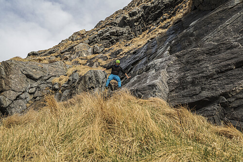 Mulevika - Terneneset: Utrolig moro rute!