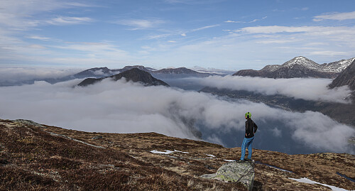 Jeg våknet opp i den tåka...