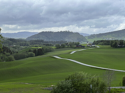 Fjæremsåsen