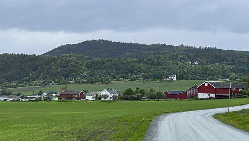 Kongshåmmåren