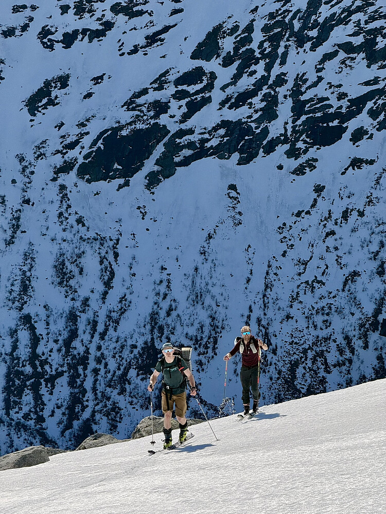 Over tregerensa og opp i Meiadalskoppen
