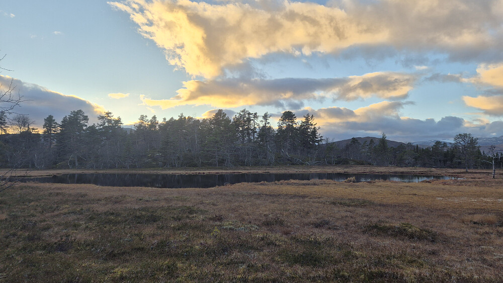 Stedjeåsen