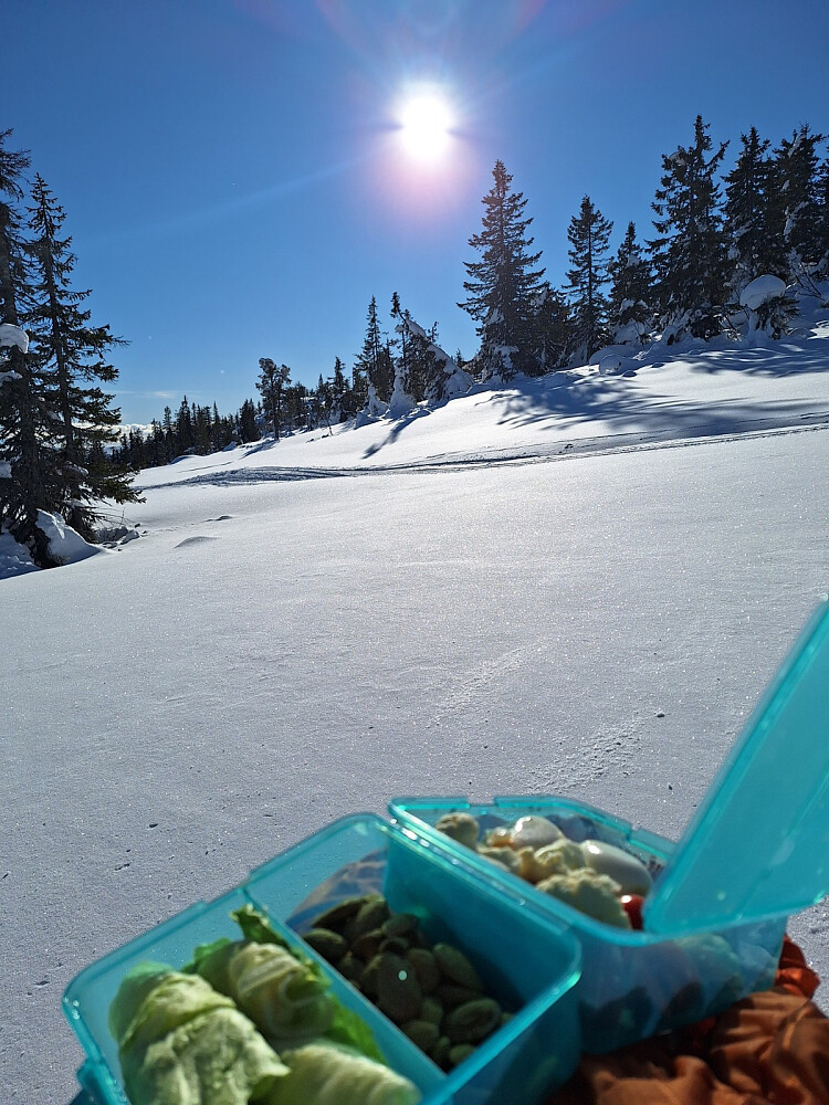 Deilig lunsj i solskinnet