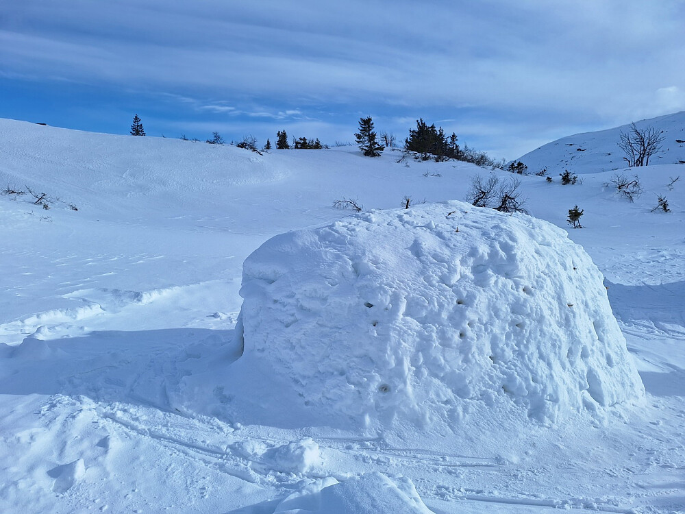 Mange fine igloer var bygd ved Eriksbu, skulle gjerne tatt en overnatting her