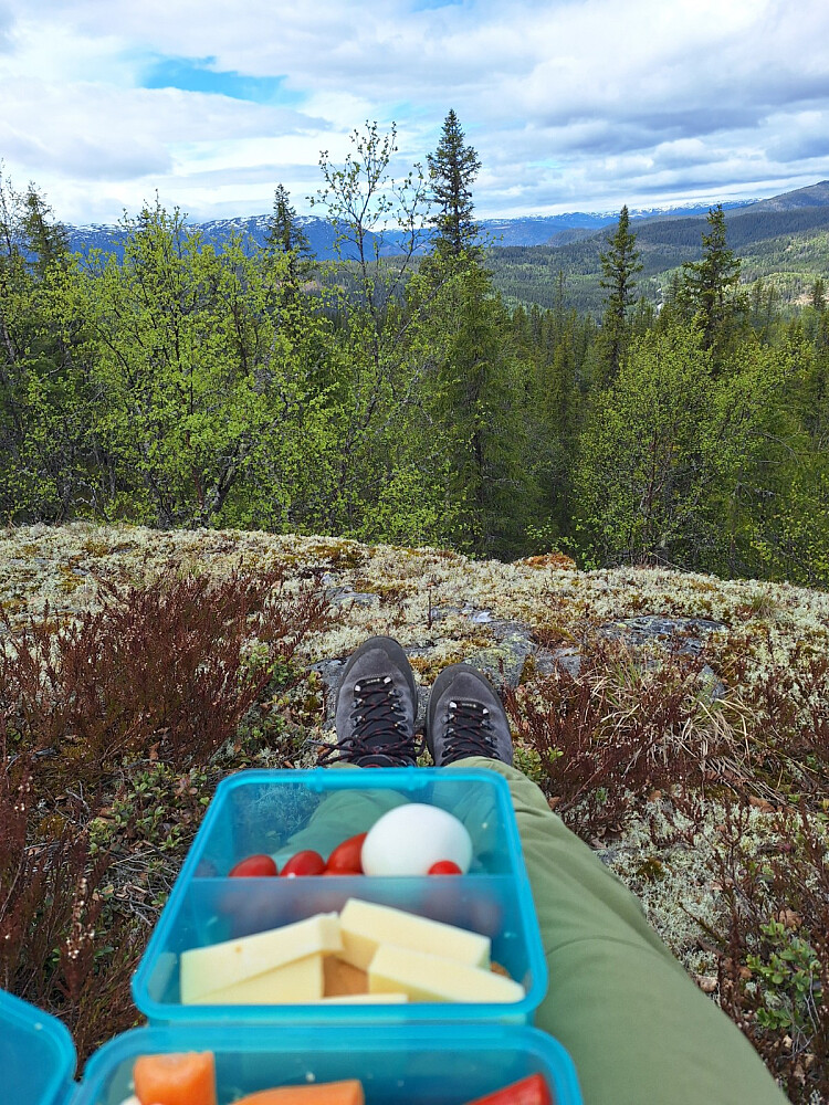 Lunsj på Grenhovd