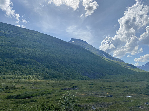 Bilde #1: På vei innover mot Storvassreset, og Taskedalshornet [1406 m.o.h.] kommer til syne bak Taskedalskollen [880/1028 m.o.h.].