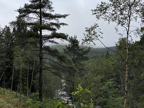 Bilde #2: Nord-Heggdalselva. Skydekket lå ganske lavt denne dagen, så jeg kunne ikke se toppen på hverken Tåhaugen eller Myrsethornet her nede fra.