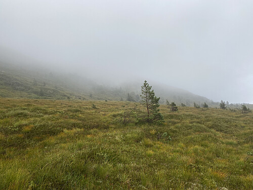 Bilde #7: Fra Tåhaugen gikk turen videre mot Myrsethornet, der tåka lå godt nedpå.