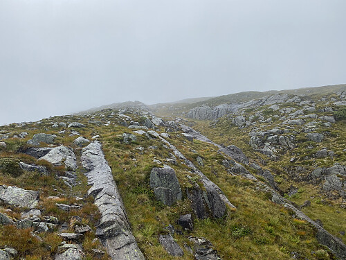 Bilde #8: Jeg nærmer meg toppen på Myrsethornet [670 m.o.h.], det første av de to fjellene jeg hadde som mål å bestige denne dagen.