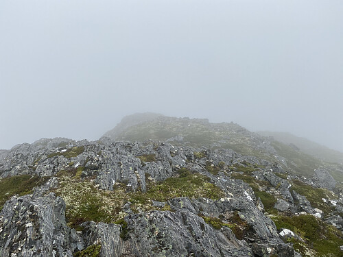 Bilde #11: På vei nedover den nevnte ryggen ned mot Beinsetvatnet. Denne ryggen forbinder på en måte også Myrsethornet med Manfjellet.