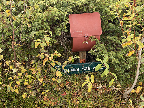 Bilde #8: Like innunder toppen står en postkasse (antagelig med en bok i), og et skilt som angir hvilken topp man er på, og antall meter over havet.