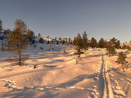 Bilde #1: På veg fra Bergsvatnet opp på Høglia.