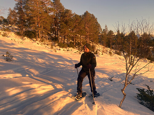 Bilde #2: Vi har tatt fatt på sørøstryggen opp på Skolmelia.