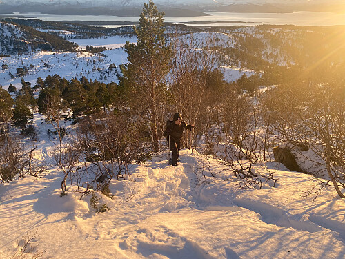 Bilde #3: Herfra bar det ganske raskt oppover i høyden,...