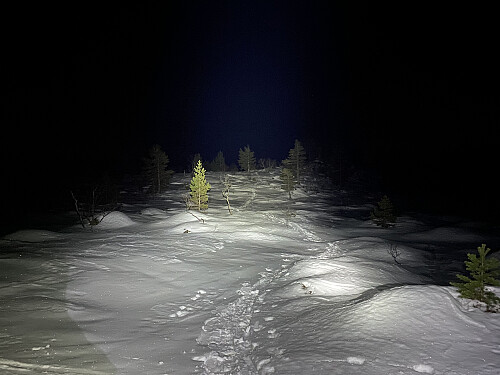 Bilde #12: På vei ned igjen fra Skolmelia mot Høglia, og nå er hodelyktene kommet på.