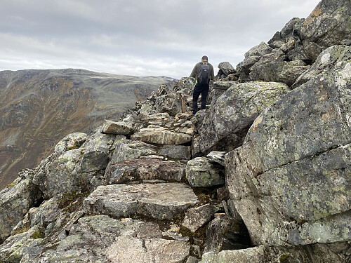 Bilde #8: Ett parti var det anlagt, som man kunne bruke dersom man ville.