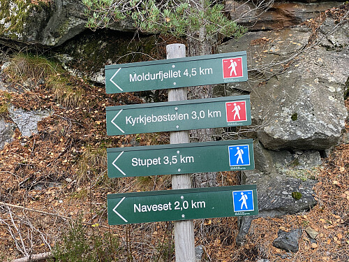 Bilde #2: Turstiene var greit skiltet - i hvertfall i starten.