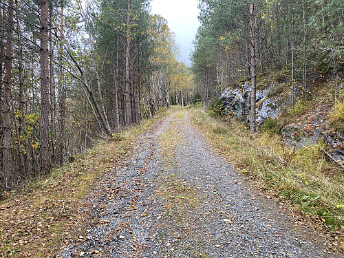 Bilde #3: Det første stykket av traséen gikk langs en grusvei,...