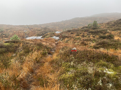 Bilde #8: Stien videre opp fra Kyrkjebøstølen var veldig godt rødmerket.