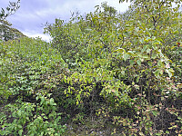 SunnivaR_20250928_68d93348a1f3f.jpg