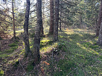 SunnivaR_20251017_68f26977997b7.jpg