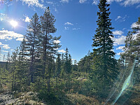 SunnivaR_20251017_68f269795f0d9.jpg